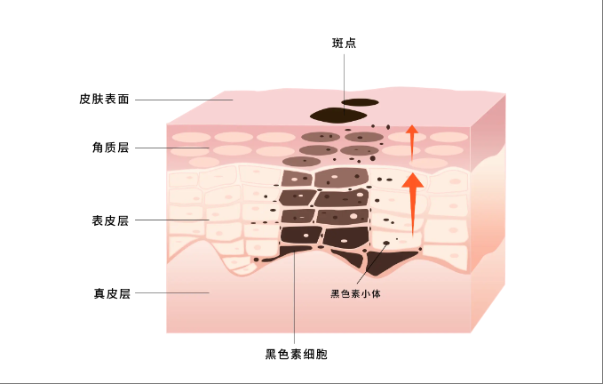 wechat_2025-03-13_093829_125.png